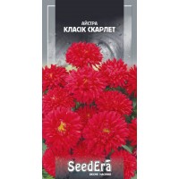 Семена Астра "Классик Скарлет" низькоросла 0,25г